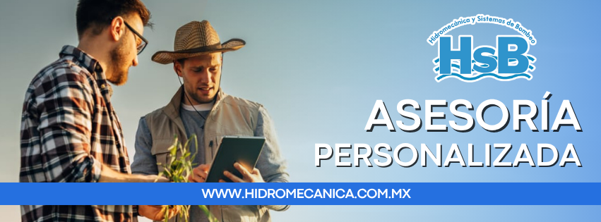 ASESORÍA PERSONALIZADA
